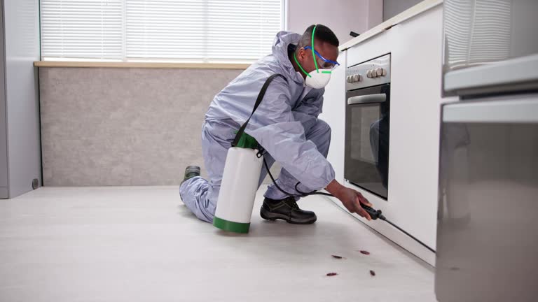 Best Real Estate Pest Inspections  in Satsuma, AL